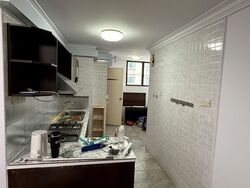 Birmingham Mansions (D11), Apartment #495676621